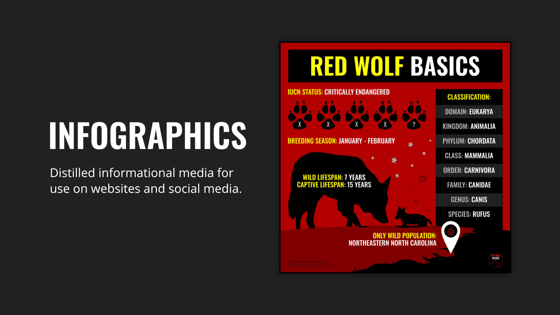 Red Wolf Review Infographics 1 Red Wolf Review Infographics 1